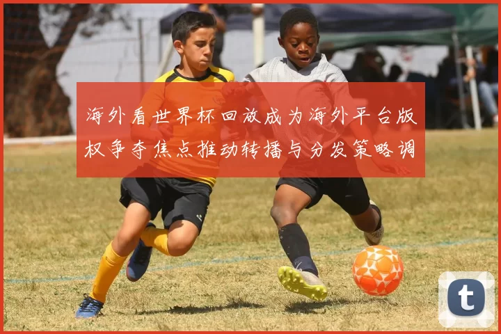 海外看世界杯回放成为海外平台版权争夺焦点推动转播与分发策略调整