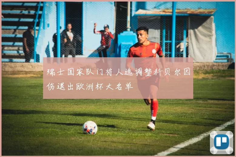 瑞士国家队门将人选调整科贝尔因伤退出欧洲杯大名单